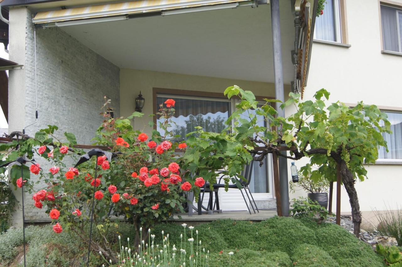 Ferienwohnung Beate Höchst Exteriér fotografie
