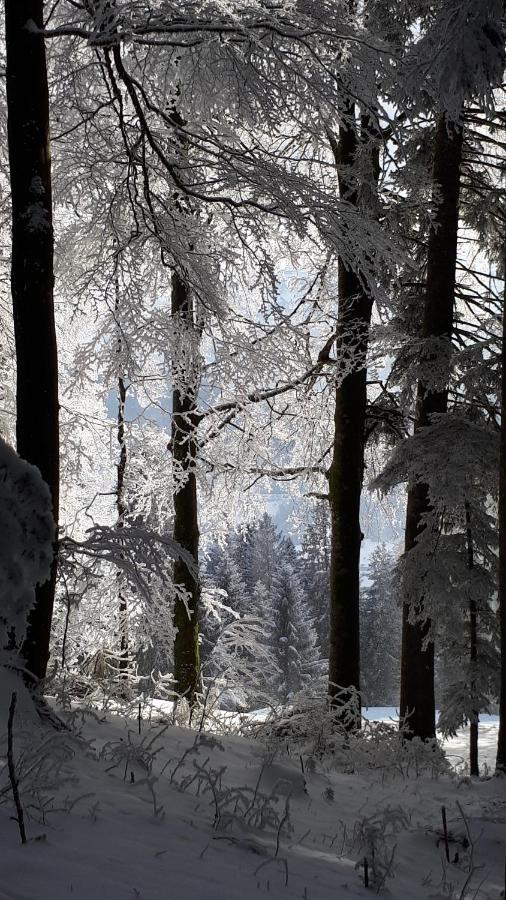 Ferienwohnung Beate Höchst Exteriér fotografie